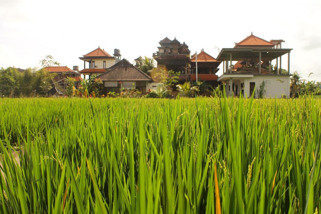 Cenik House Ubud Eksteriør billede
