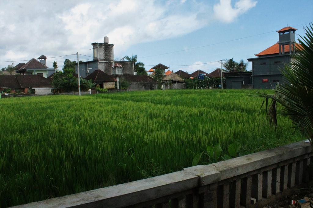 Cenik House Ubud Eksteriør billede